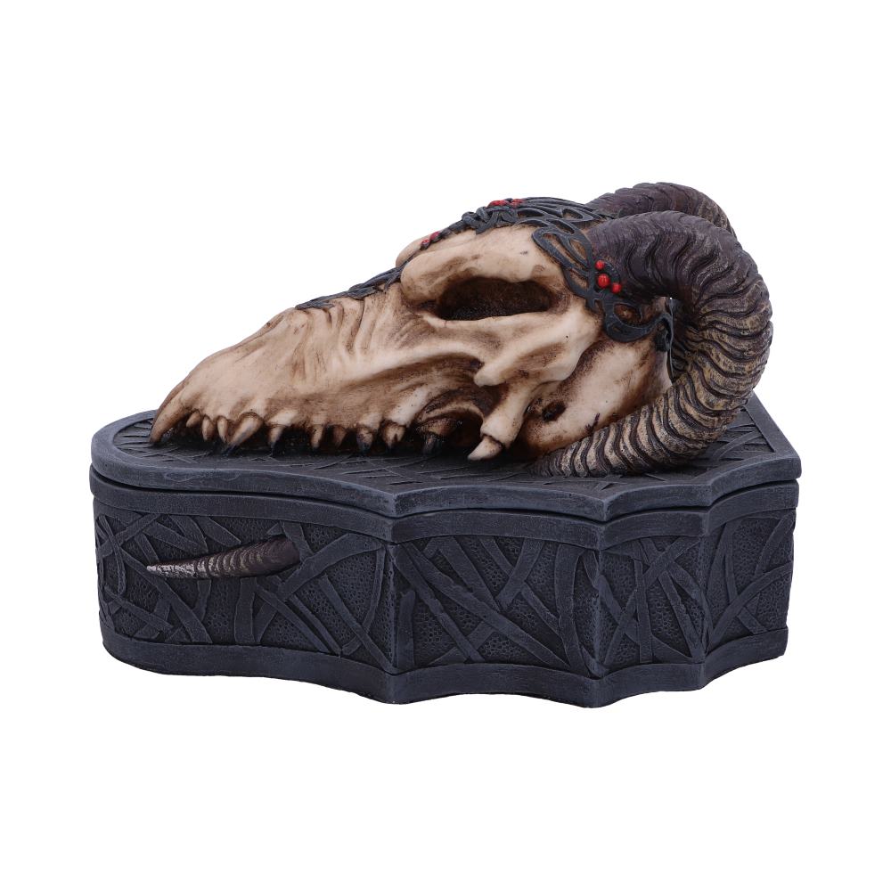 Dragon Skull Box (Monte Moore) 17.7cm Boxes & Storage