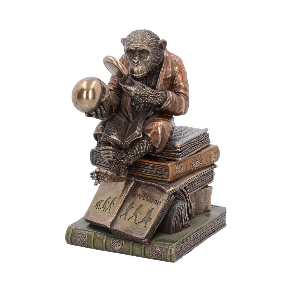 Darwinism of Evolutionary Theory Figurine Charles Darwin Chimpanzee Ornament Boxes & Storage
