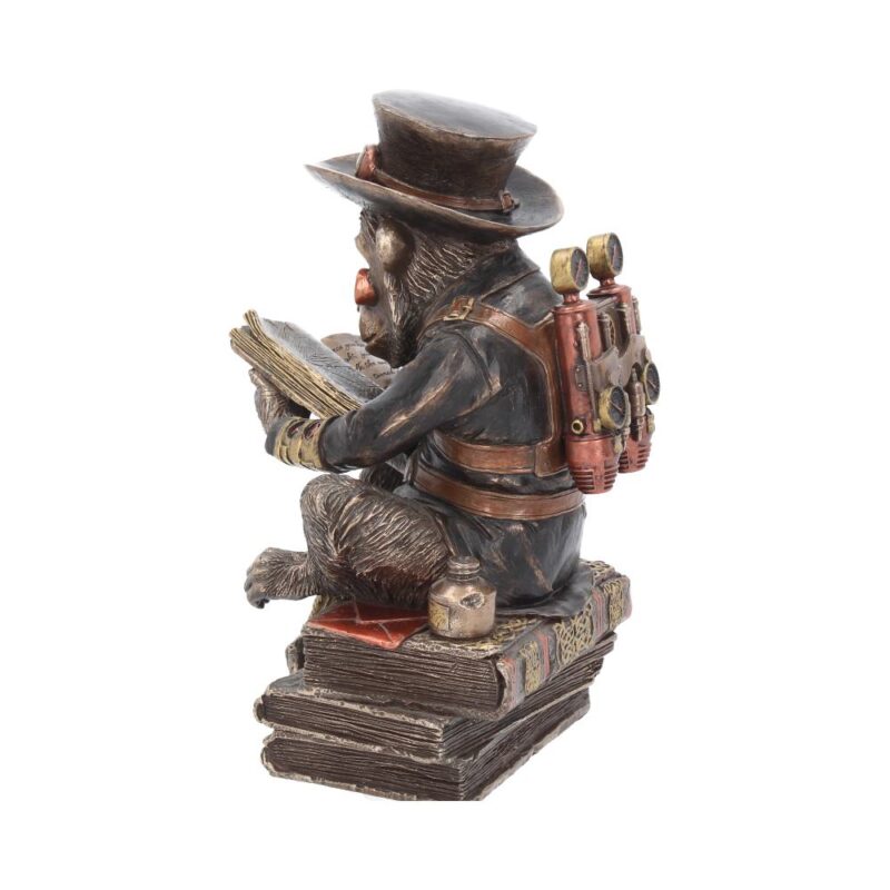 Steampunk Chimpanzee Scholar Figurine 19.5cm Figurines Medium (15-29cm) 5