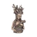 Bronzed Mother Earth Gaia Bust 26cm Figurines Medium (15-29cm) 10
