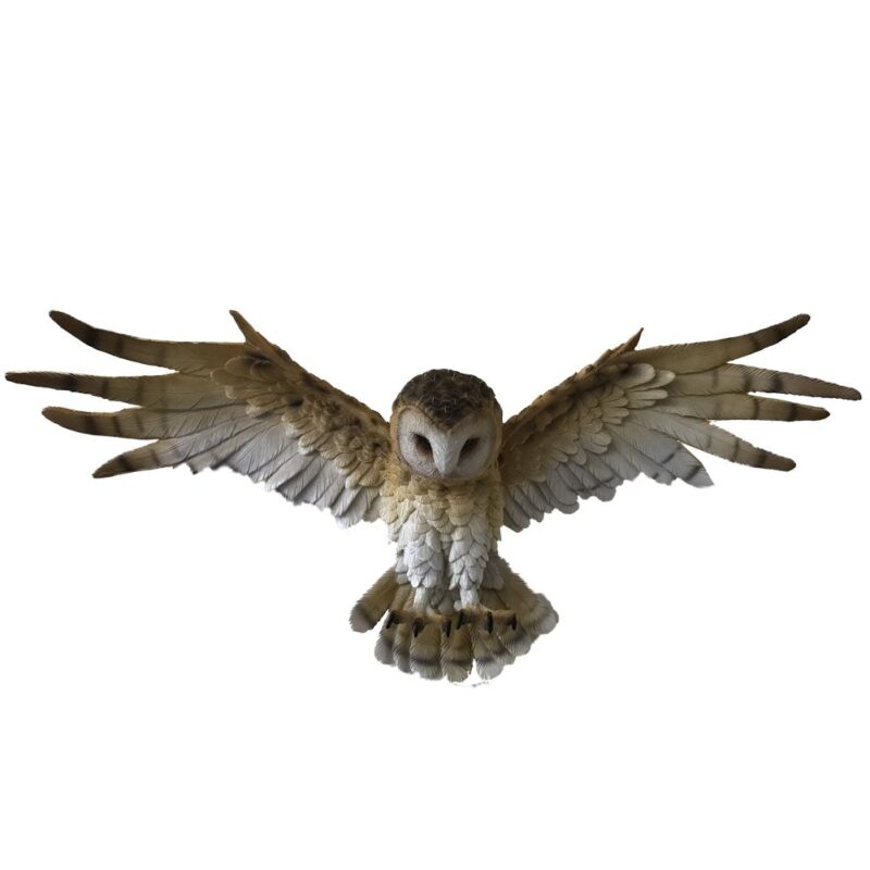 Wisdom Flight Brown Flying Barn Owl Wall Hanging Home Décor