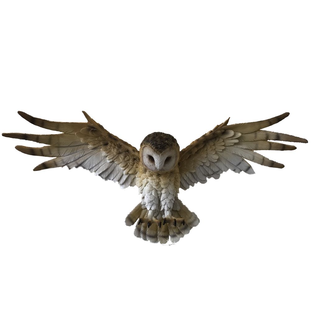 Wisdom Flight Brown Flying Barn Owl Wall Hanging Home Décor 2