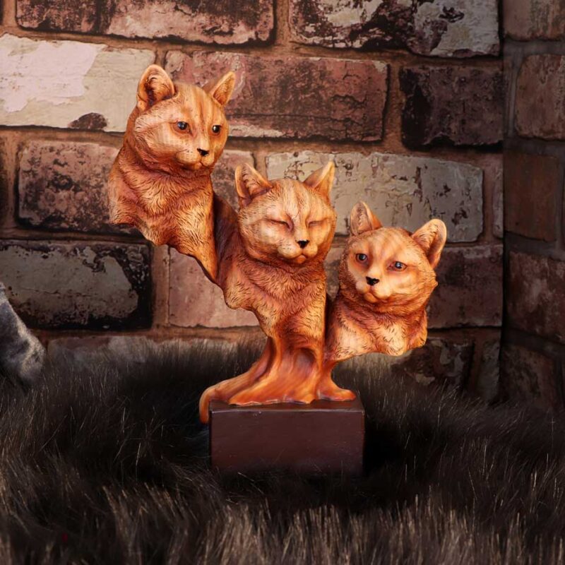 Feline Trio Three Cats Wood Effect Bust Figurines Medium (15-29cm) 9