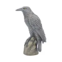 Nemesis Now Ravens Rest Figurine Gothic Bird Ornament 16cm Figurines Medium (15-29cm) 2