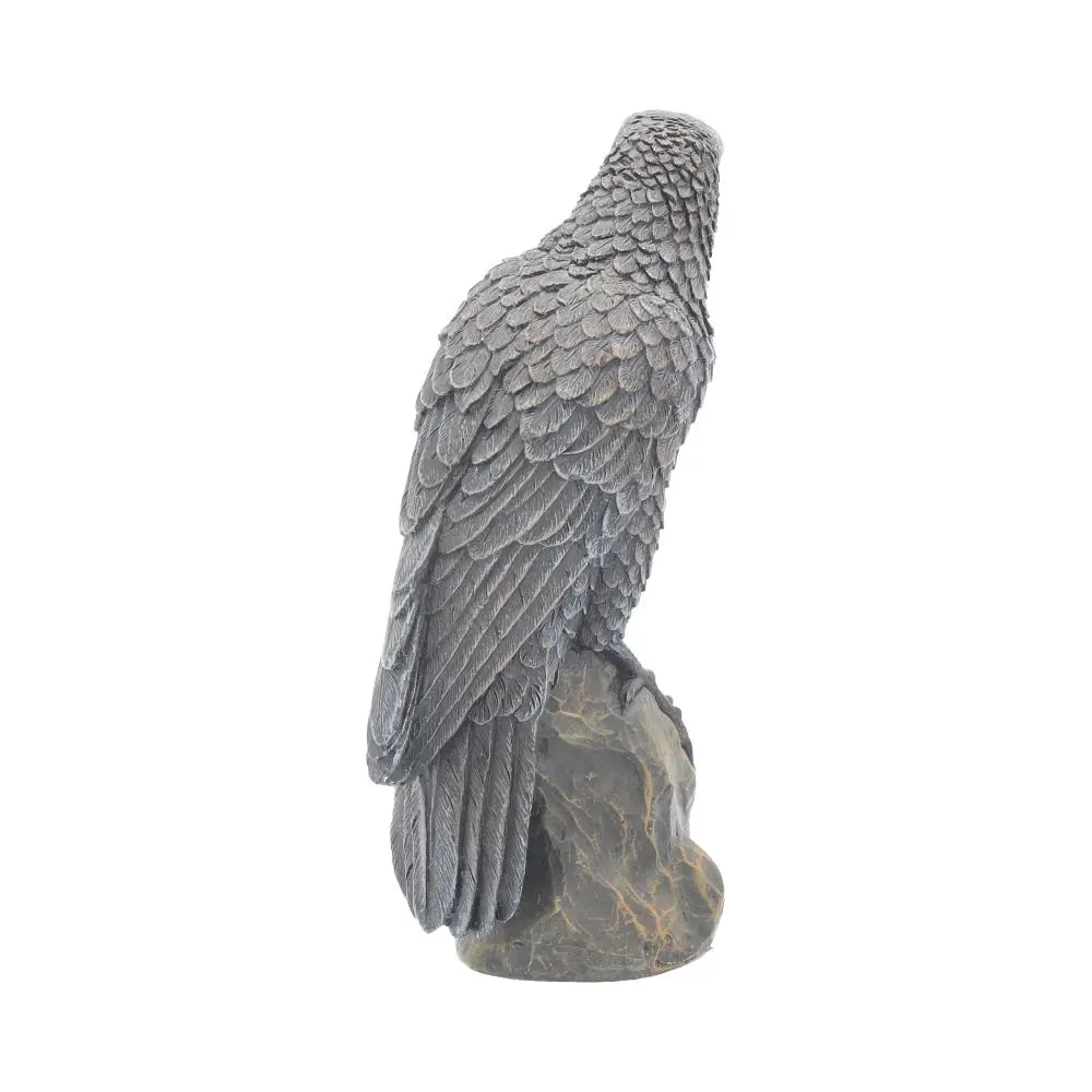 Nemesis Now Ravens Rest Figurine Gothic Bird Ornament 16cm Figurines Medium (15-29cm) 7 Nemesis Now Ravens Rest Figurine Gothic Bird Ornament 16cm Figurines Medium (15-29cm) 7