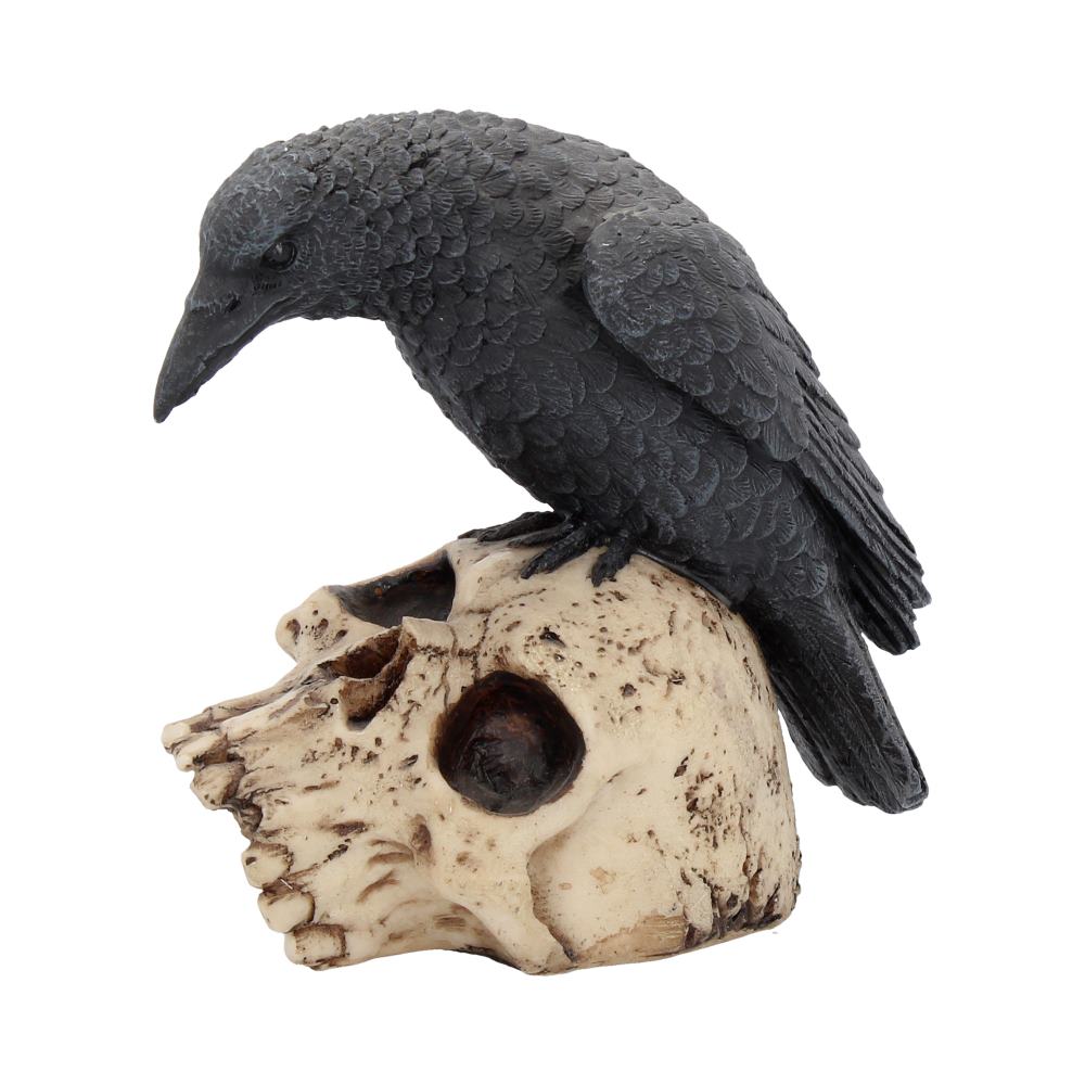 Raven Remains Figurine Crow Skull Gothic Ornament Figurines Small (Under 15cm)