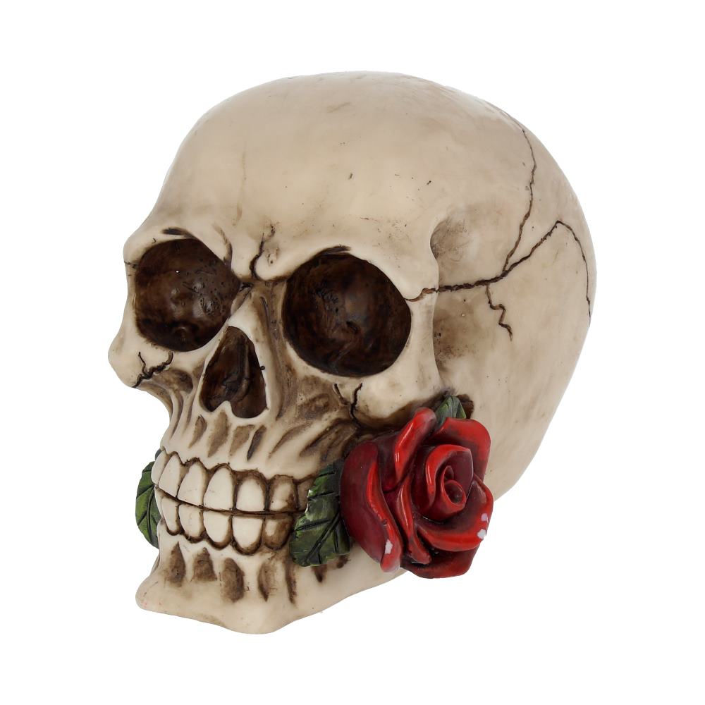 Rose From the Dead Skull Ornament 15cm Figurines Medium (15-29cm) 2