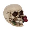Rose From the Dead Skull Ornament 15cm Figurines Medium (15-29cm) 10