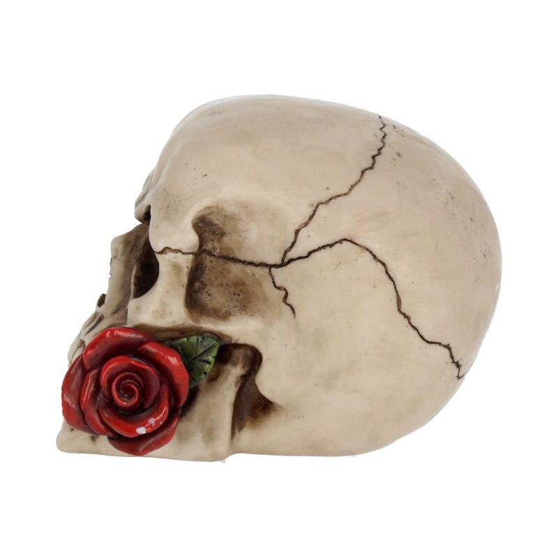 Rose From the Dead Skull Ornament 15cm Figurines Medium (15-29cm) 5