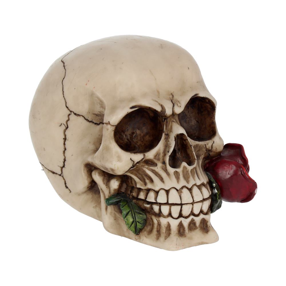 Rose From the Dead Skull Ornament 15cm Figurines Medium (15-29cm)