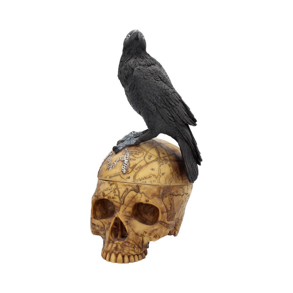 Salems Familiar Box Gothic Raven Skull Witch Pentagram Trinket Box Boxes & Storage 2