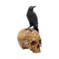Salems Familiar Box Gothic Raven Skull Witch Pentagram Trinket Box Boxes & Storage 10