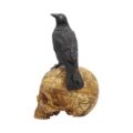 Salems Familiar Box Gothic Raven Skull Witch Pentagram Trinket Box Boxes & Storage 6