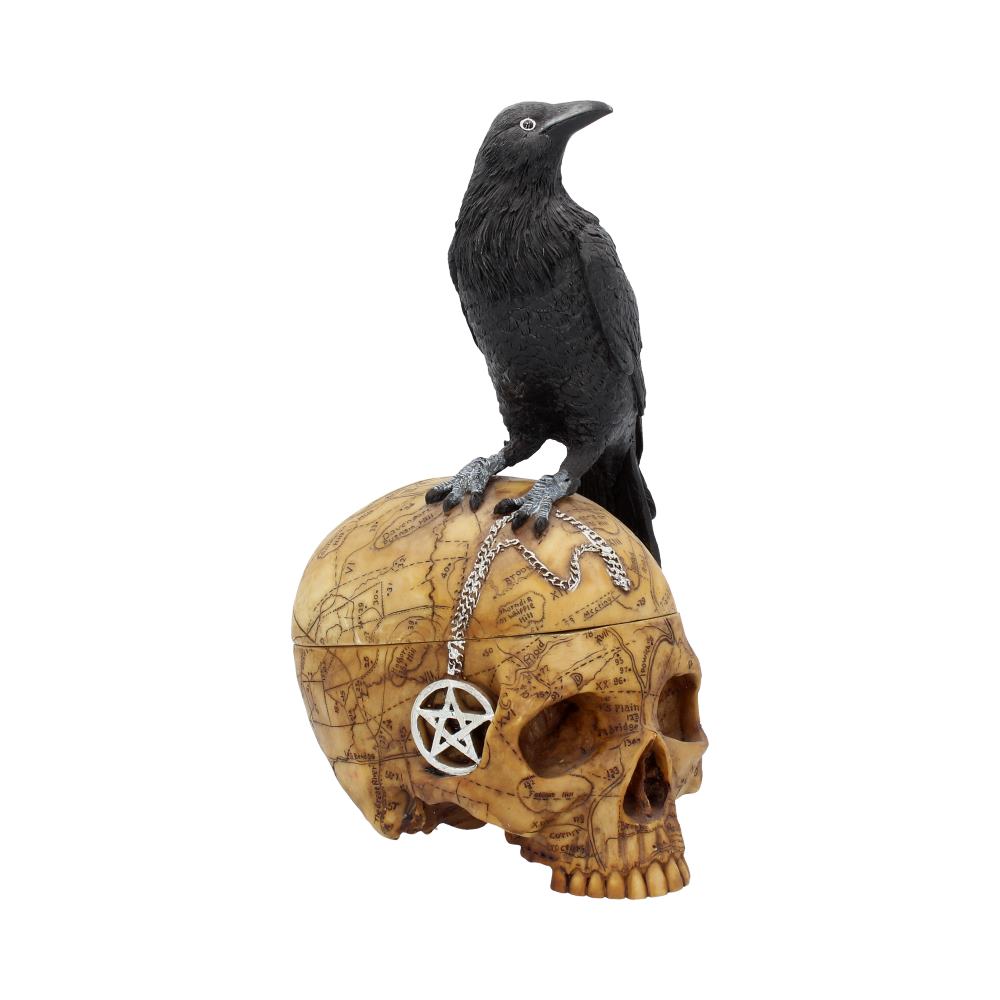Salems Familiar Box Gothic Raven Skull Witch Pentagram Trinket Box Boxes & Storage