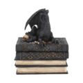 Secrets of the Dragon Box Gothic Skull Books Trinket Box Boxes & Storage 2