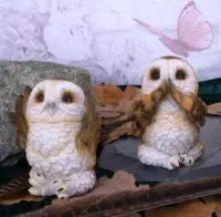 Nemesis Now Three Wise Brown Owls 7.5cm Figurines Small (Under 15cm) 2