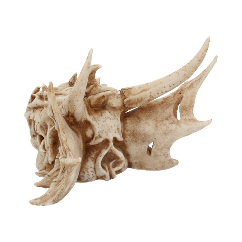 Lumo Luminescent Light Up Dragon Skull Figurines Medium (15-29cm) 5