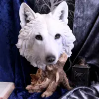 Nemesis Now Wild Winter White Wolf Bust 27.5cm Figurines Medium (15-29cm) 2