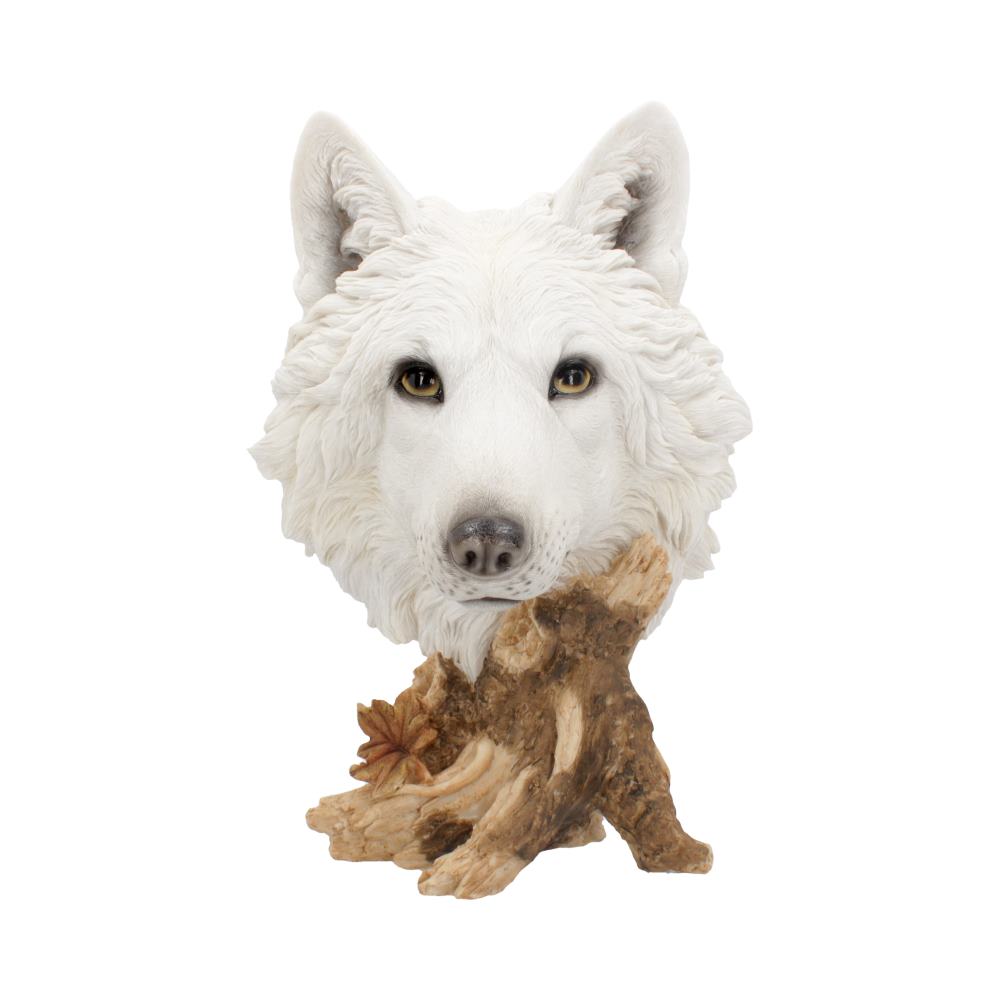 Nemesis Now Wild Winter White Wolf Bust 27.5cm Figurines Medium (15-29cm)