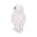 Snowy Watch Small White Owl Ornament Figurines Small (Under 15cm) 4