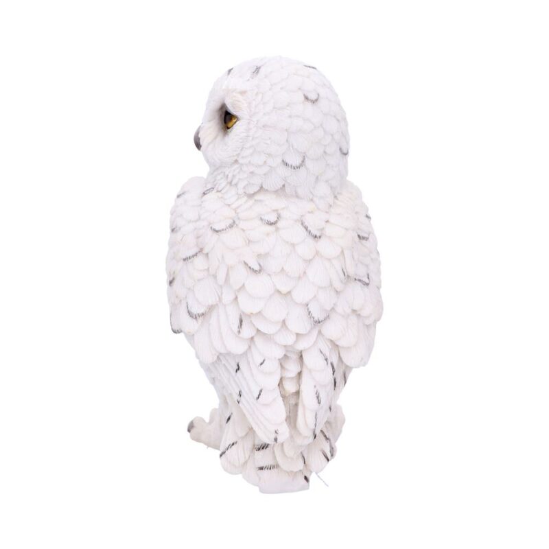 Snowy Watch Small White Owl Ornament Figurines Small (Under 15cm) 3