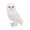 Snowy Watch Small White Owl Ornament Figurines Small (Under 15cm) 2