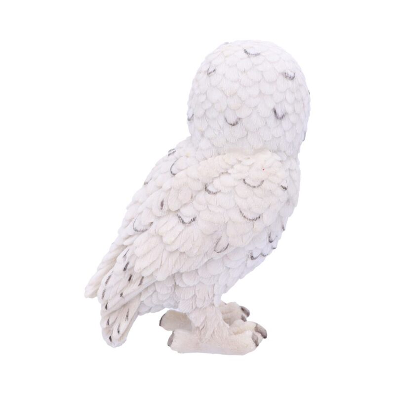 Snowy Watch Small White Owl Ornament Figurines Small (Under 15cm) 5