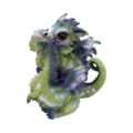 Curious Hatchlings Small Set of Four Dragon Infant Ornaments Figurines Small (Under 15cm) 4