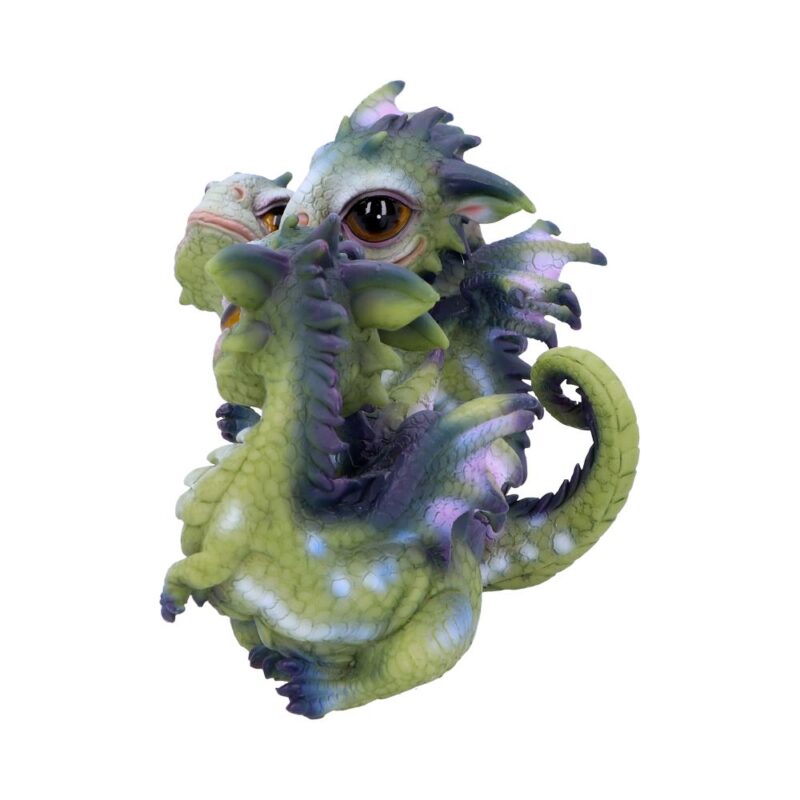 Curious Hatchlings Small Set of Four Dragon Infant Ornaments Figurines Small (Under 15cm) 3