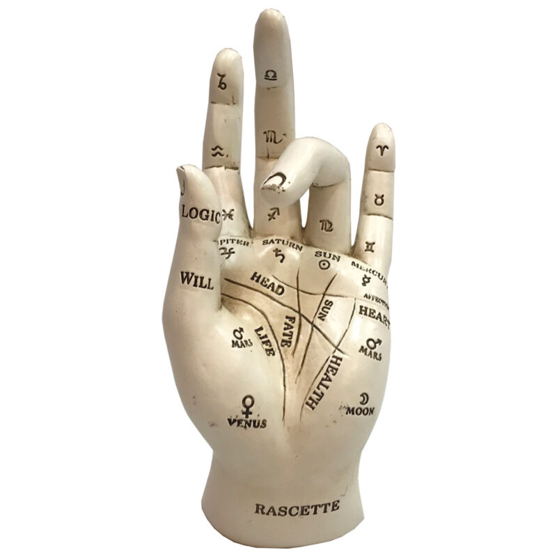 Palmistry Chriomancy Fortune Telling Hand Figurine Figurines Medium (15-29cm)