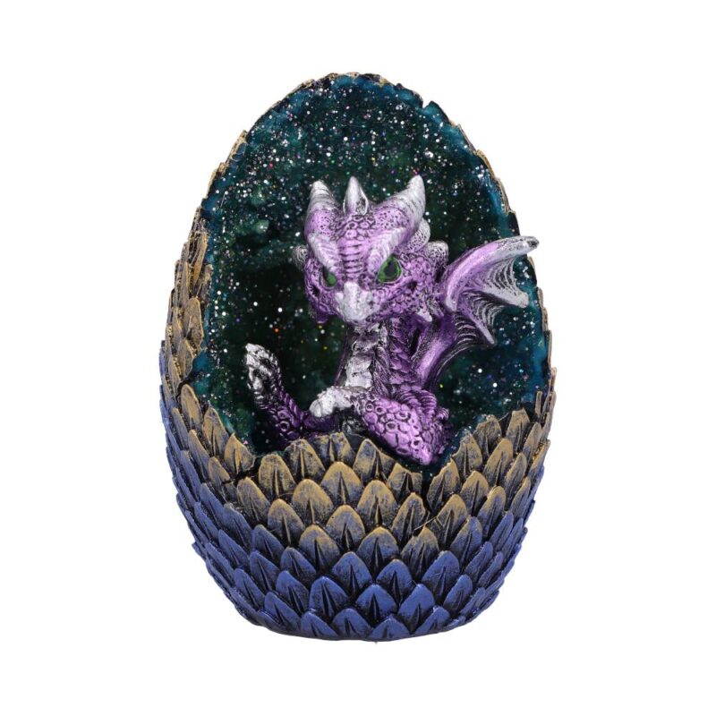 Purple Geode Home Glittering Hatchling and Egg Figurine Figurines Small (Under 15cm) 9