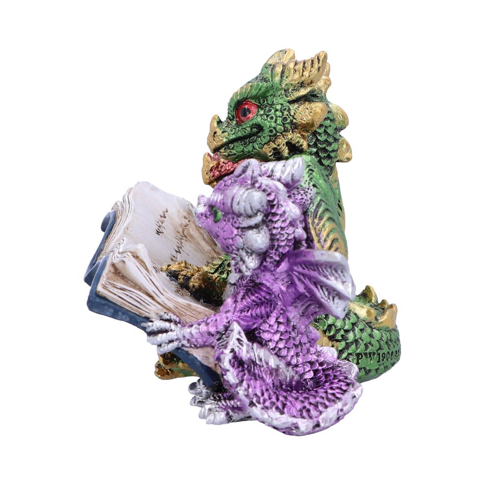 Tales of Fire Reading Book Dragon Figurine Figurines Small (Under 15cm) 2