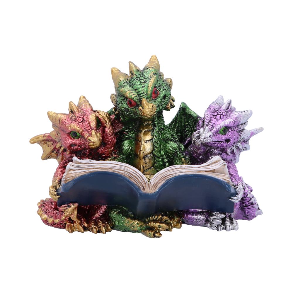 Tales of Fire Reading Book Dragon Figurine Figurines Small (Under 15cm)