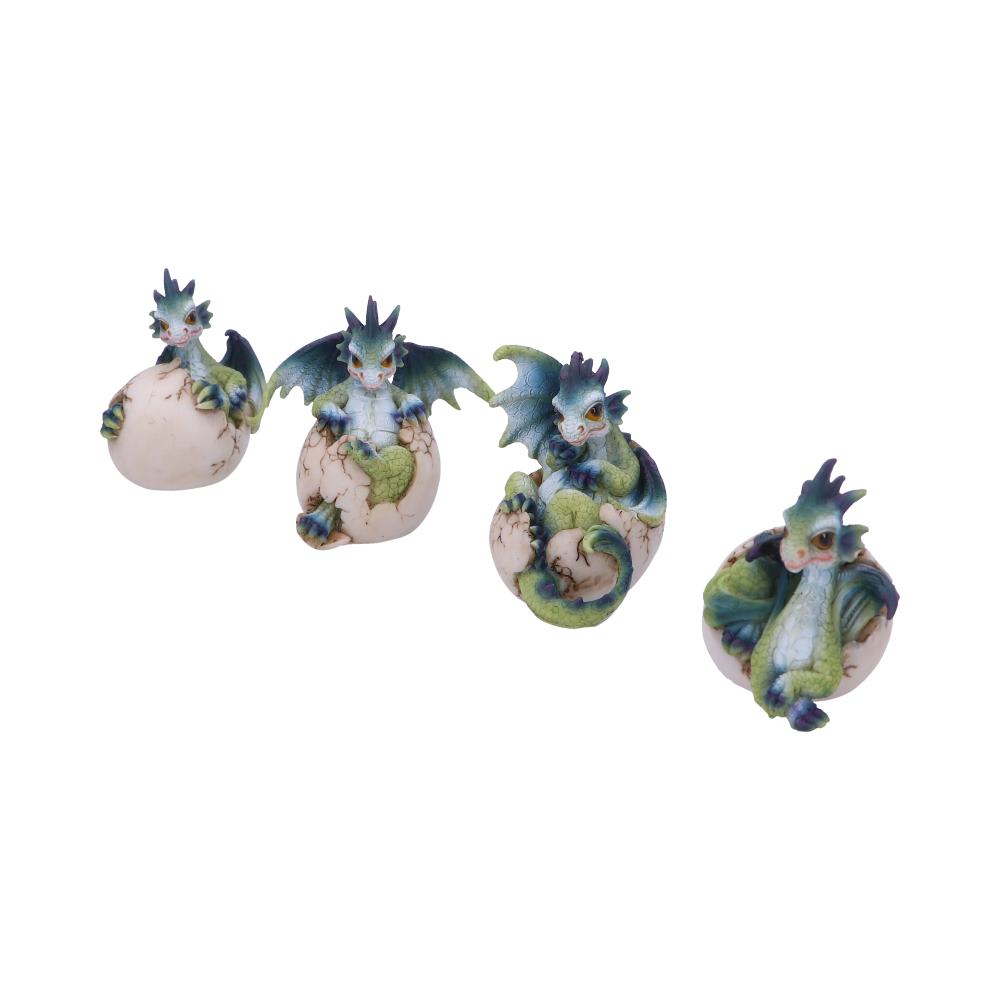 Set of Four Hatchlings Emergence Dragonling Hatching from Egg Figurine Figurines Small (Under 15cm) 2