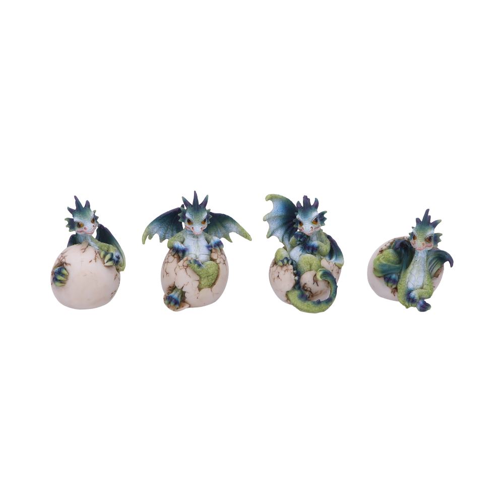 Set of Four Hatchlings Emergence Dragonling Hatching from Egg Figurine Figurines Small (Under 15cm)