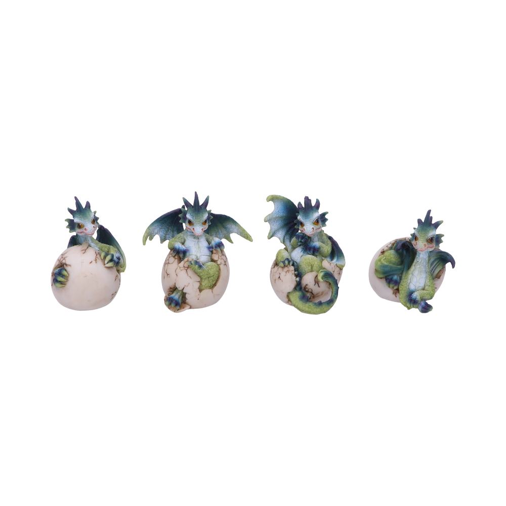 Nemesis Now Set of Four Hatchlings Emergence Dragonling Hatching from Egg Figurine 8cm Figurines Small (Under 15cm)