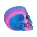 Rainbow Skull 15.5cm Figurines Medium (15-29cm) 8