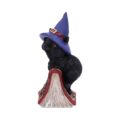 Hocus Small Witches Familiar Black Cat and Spellbook Figurine Figurines Small (Under 15cm) 4