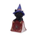 Hocus Small Witches Familiar Black Cat and Spellbook Figurine Figurines Small (Under 15cm) 2