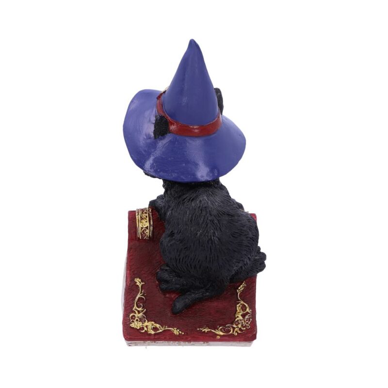 Hocus Small Witches Familiar Black Cat and Spellbook Figurine Figurines Small (Under 15cm) 5