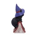 Hocus Small Witches Familiar Black Cat and Spellbook Figurine Figurines Small (Under 15cm) 8