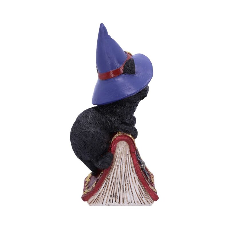Hocus Small Witches Familiar Black Cat and Spellbook Figurine Figurines Small (Under 15cm) 7