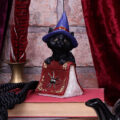 Hocus Small Witches Familiar Black Cat and Spellbook Figurine Figurines Small (Under 15cm) 10