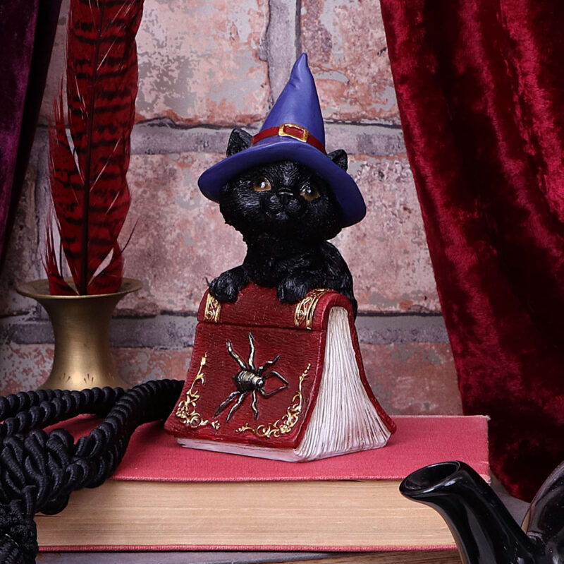 Hocus Small Witches Familiar Black Cat and Spellbook Figurine Figurines Small (Under 15cm) 9