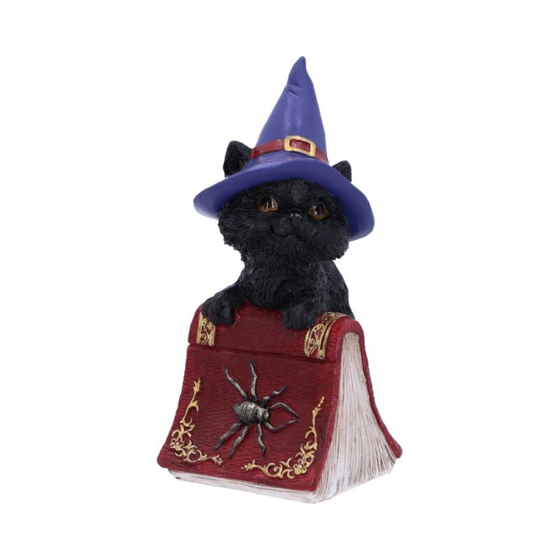 Hocus Small Witches Familiar Black Cat and Spellbook Figurine Figurines Small (Under 15cm)