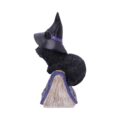 Pocus Small Witches Familiar Black Cat and Spellbook Figurine Figurines Small (Under 15cm) 4