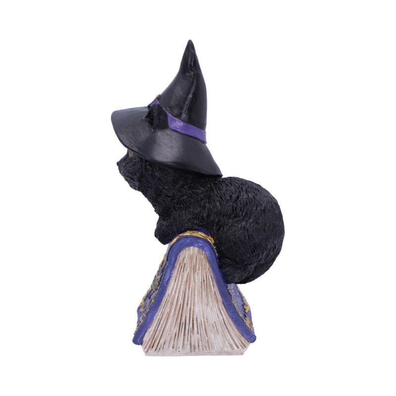 Pocus Small Witches Familiar Black Cat and Spellbook Figurine Figurines Small (Under 15cm) 3