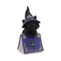 Pocus Small Witches Familiar Black Cat and Spellbook Figurine Figurines Small (Under 15cm) 2
