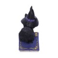 Pocus Small Witches Familiar Black Cat and Spellbook Figurine Figurines Small (Under 15cm) 6