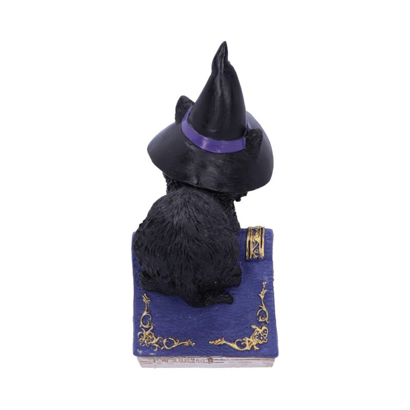 Pocus Small Witches Familiar Black Cat and Spellbook Figurine Figurines Small (Under 15cm) 5